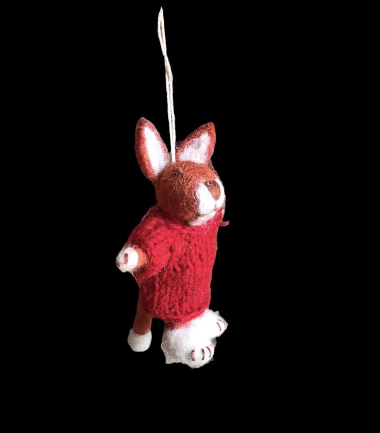 Bunny with Red Sweater